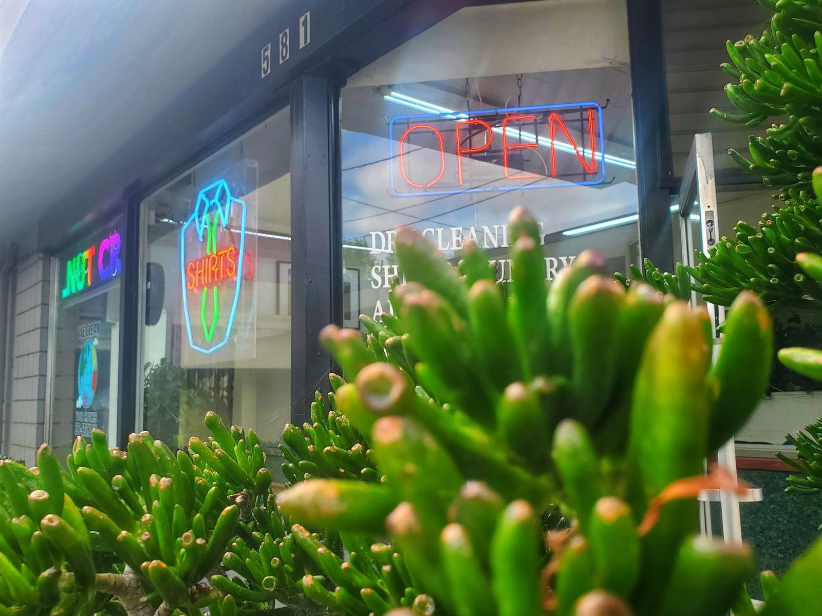 The Walnut Creek Cleaners storefront at 581 Ygnacio Valley Road, with a neon OPEN sign, a neon SHIRTS sign and succulents in the foreground
